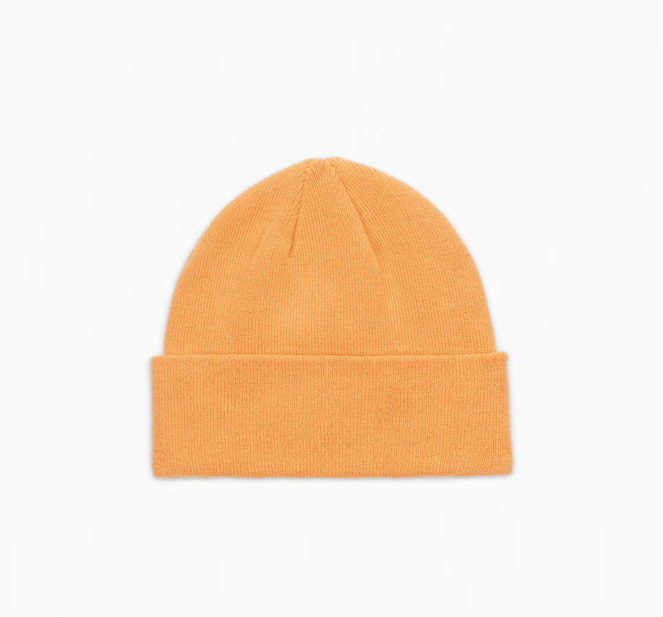 Short Dome Beanie Logo