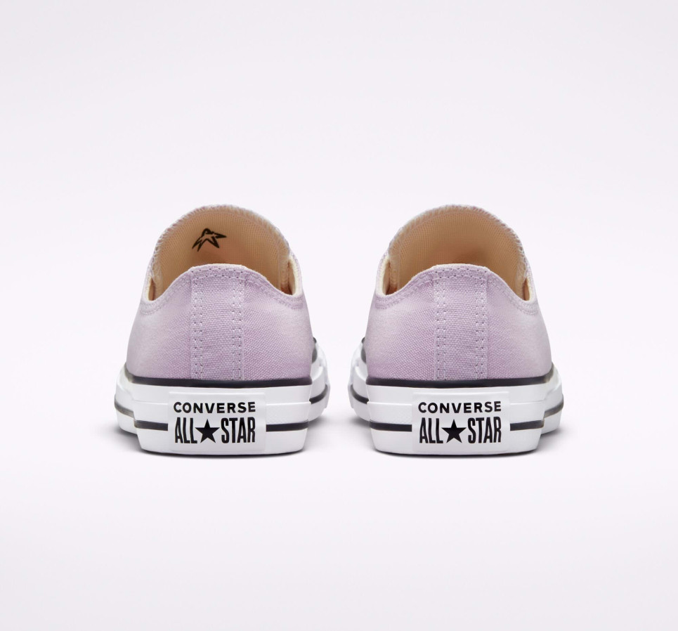 Chuck Taylor All Star Seasonal Color-Pink-36