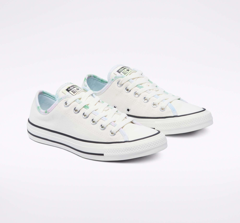 Festival Chuck Taylor All Star-Egret-36
