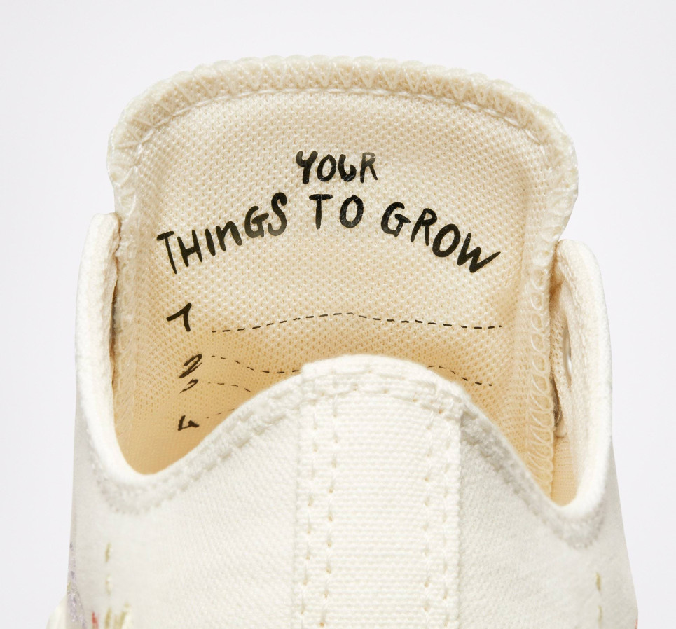 Chuck Taylor All Star-Egret-36