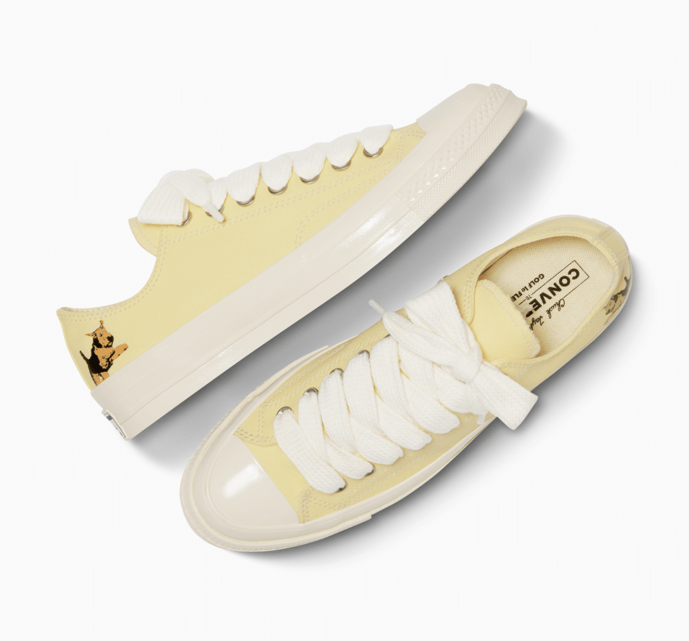 Converse x GOLF le FLEUR Darryl Chuck 70