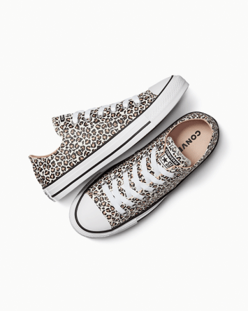 Chuck Taylor All Star Leopard