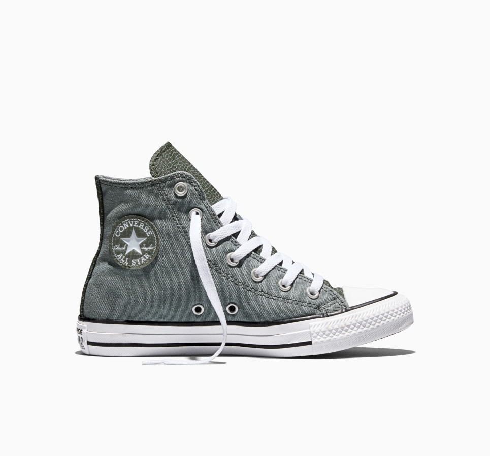 Chuck Taylor All Star Dinos