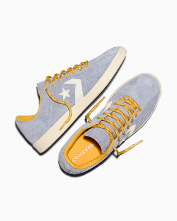 All Star Classic Trainer Suede